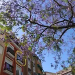 Luminoso Y Acogedor Apto-1 Dorm-aa Alicante