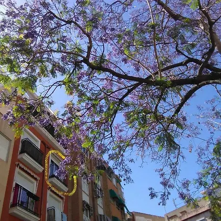 Luminoso Y Acogedor Apto-1 Dorm-aa Alicante